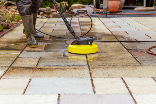 Animal Enclosure Cleaning in Claremont, CA